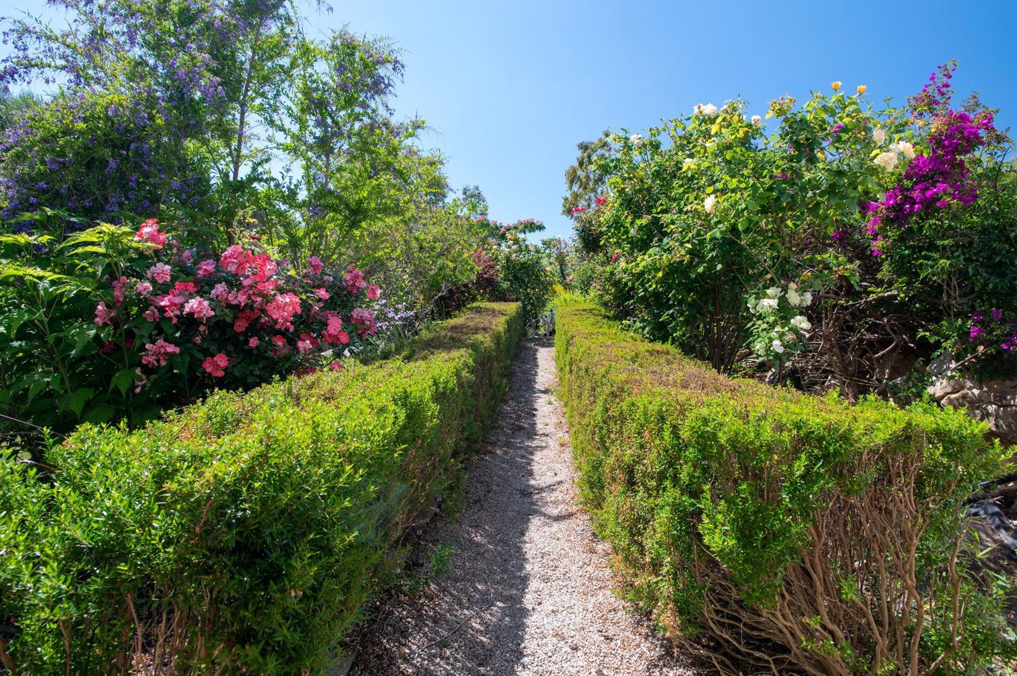 Sardinia Re - Villa Fioretta Flowers Apartments أولميدو المظهر الخارجي الصورة
